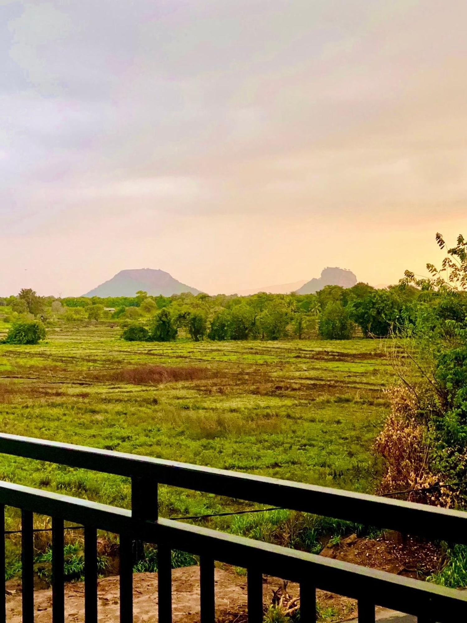 Organic Garden Resort Sigiriya Buitenkant foto