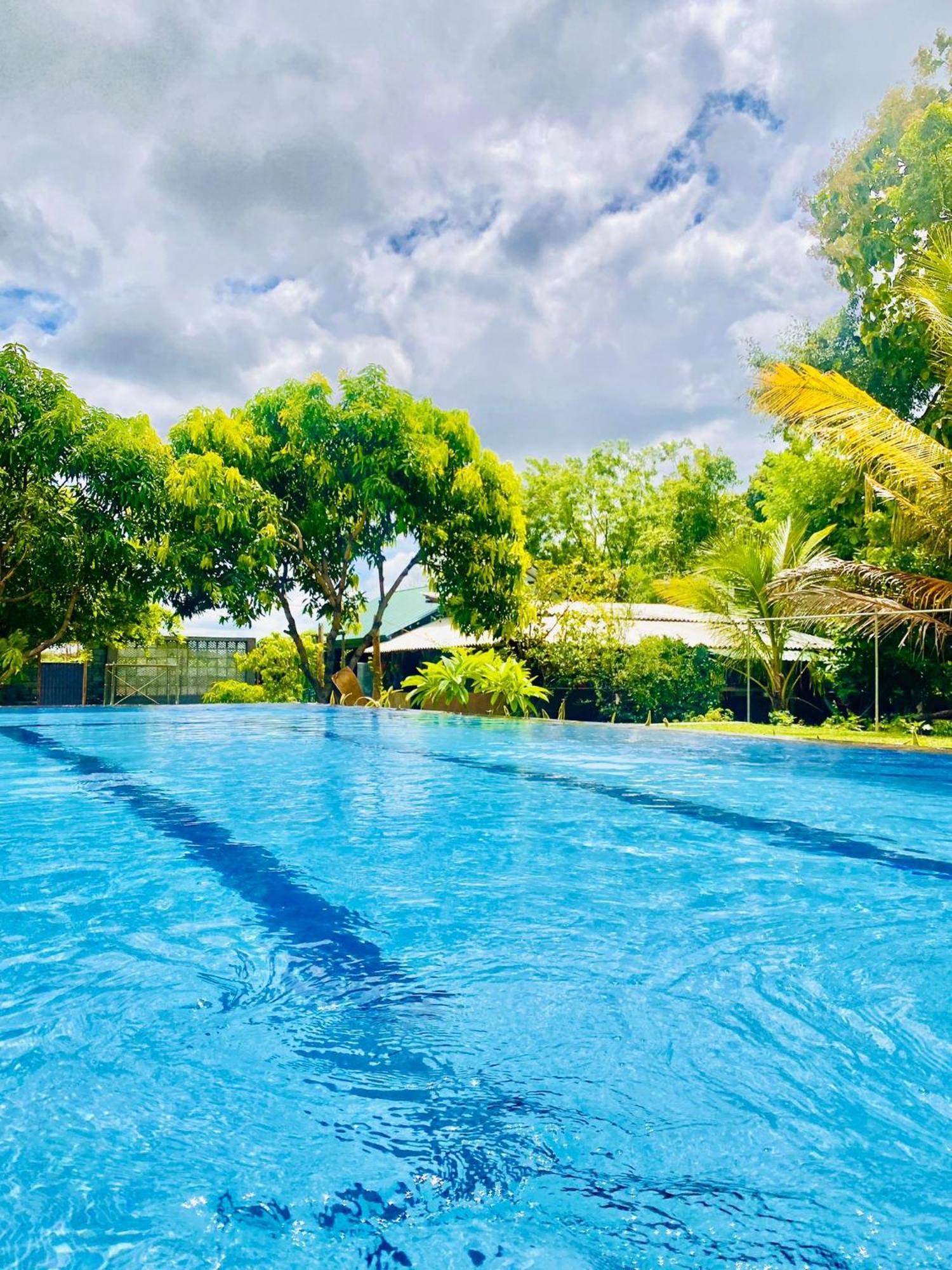 Organic Garden Resort Sigiriya Buitenkant foto