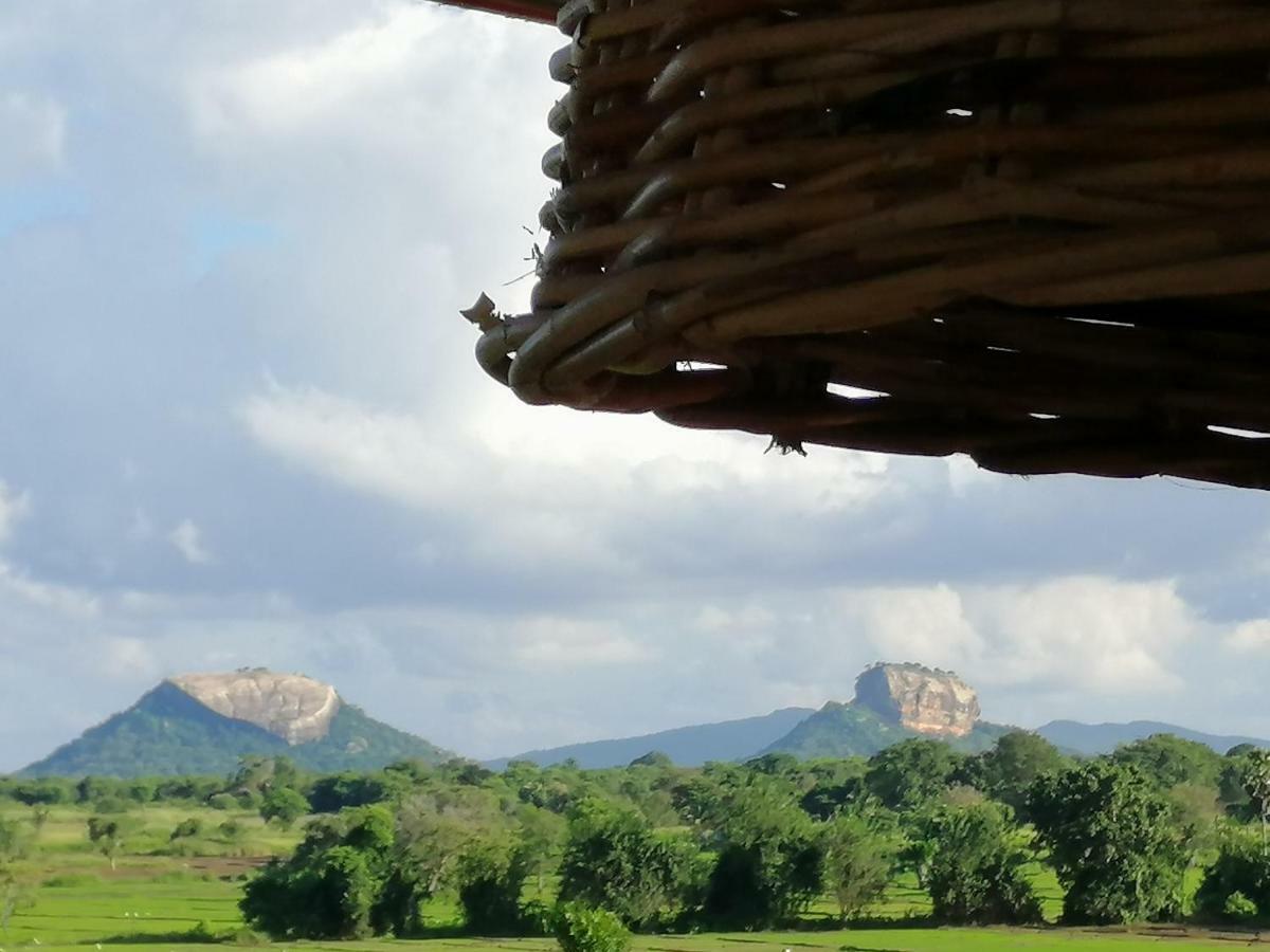 Organic Garden Resort Sigiriya Buitenkant foto