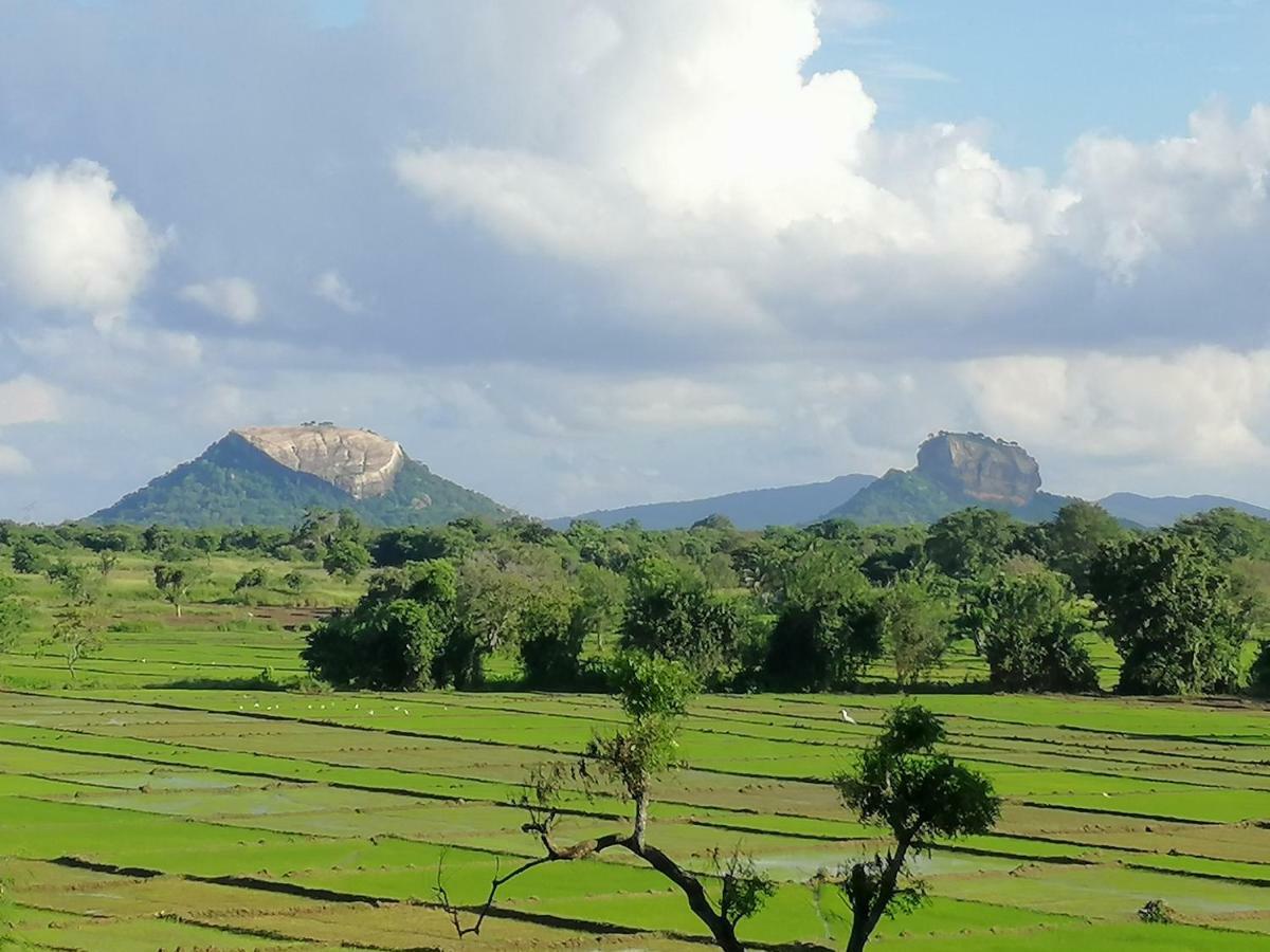 Organic Garden Resort Sigiriya Buitenkant foto